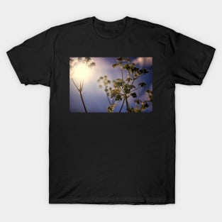 Rise Together T-Shirt